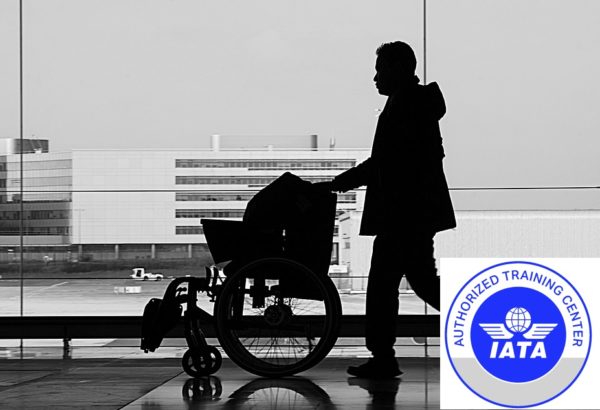 1. ASSISTING TRAVELERS WITH SPECIAL NEEDS