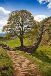 Brecha del Sicómoro, Parque Nacional Northumberland 